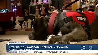 No more emotional support animals on planes? The government wants to hear from you!