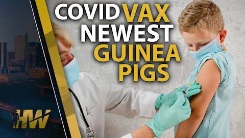 COVID VAX NEWEST GUINEA PIGS