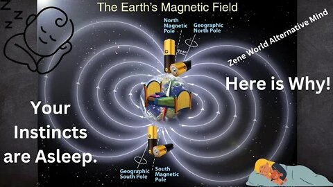 Earth's Magnetic Field, Sleep, You as a Battery: Plug In With Confidence (1#11)