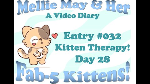 Video Diary Entry 032: Climbing Mountains. Kitten Therapy - Day 28