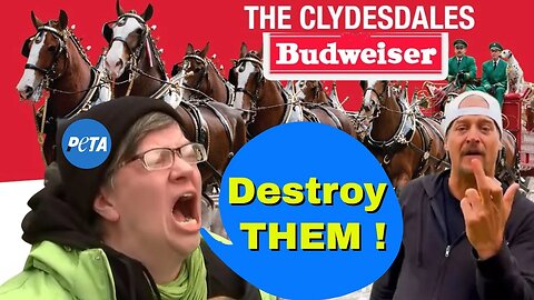 PETA wants KID ROCK to shut down BUDWEISER for HORSE Mutilation #Clydesdales #budweiser