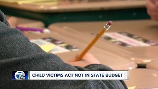 Child Victims Act not included in NYS budget