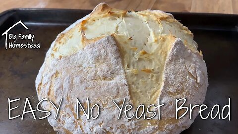 EASY No YEAST Bread