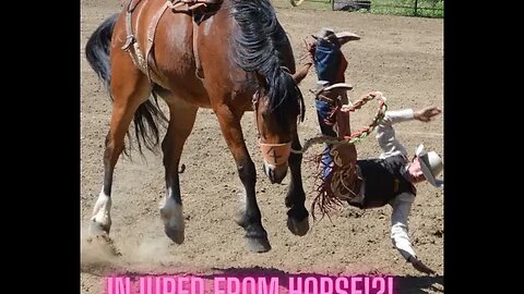 Should you really get back on a horse if you fall off and get injured?