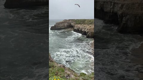 Wilder Ranch State Park: Stop 4: Ocean wave hitting a small beach. #shorts