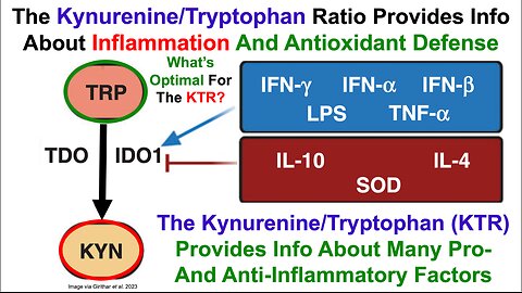 The Kynurenine/Tryptophan Ratio: An Integrated Measure Of Many Pro- And Anti-Inflammatory Factors