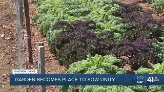 Garden becomes place to sow unity