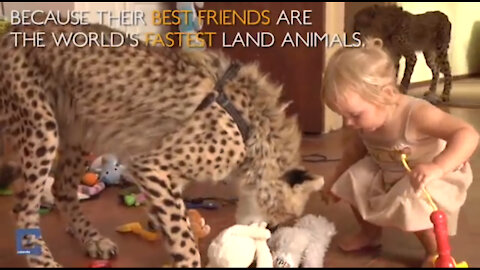 The baby and the baby tiger are two good friends. They are playing with toys together.