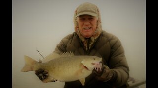 Fishing for Smallmouth Bass Northern Ca.