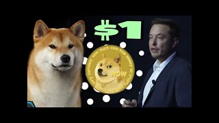 Dogecoin To $1 ⚠️ (Final Stand Show)