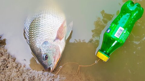 Amazing Boy Catch Fish With Plastic Bottle Fish Trap ! Fish Trap in Cambodia Method