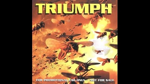 Triumph (Wu-Tang Clan Cover)