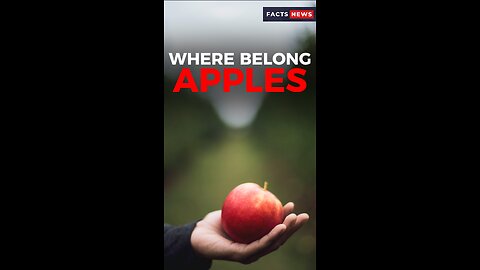 Where apples belong #factsnews #shorts