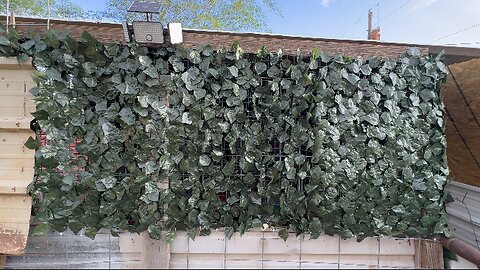 Transform Your Space With a Faux Ivy Hedge Leaf And Vine Privacy Fence!