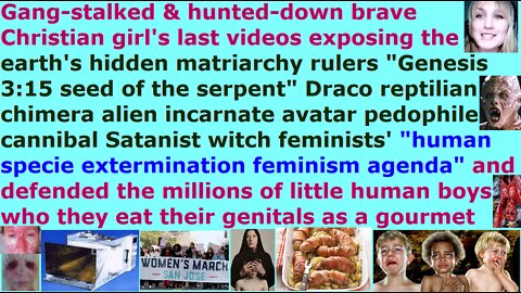 Part 2 Anti-feminist who was thrown out of Internet & hunted by pedophile cannibal Satanist witches