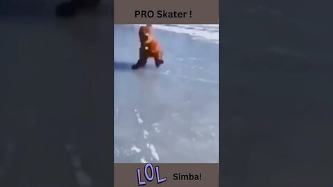 Pro Skater? funny animal videos, for dogs and cats #shorts