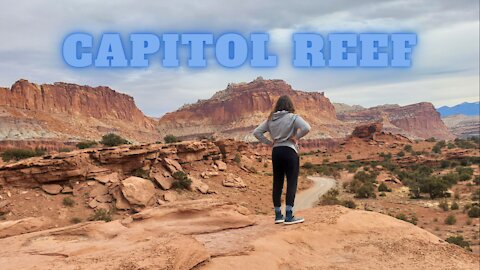 Exploring Capitol Reef and The Grand Wash with a Golden Retriever