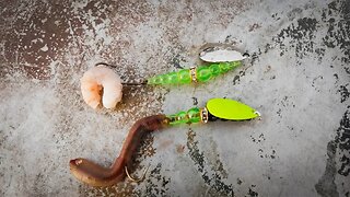 How To Troll For Trout Using Wedding Rings (Bait Tipping SECRETS!)