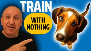 How To Train Your Dog Obedience Commands Without Treats and Using Relationships