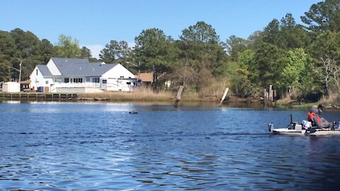 Blasian Babies Family Explore Chesapeake's Riverview