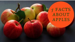 health benefits of apples | benefits of eating apples