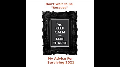 How to survive 2021 - Nobody Is Going To Rescue You; You Need To Take The Initiative!