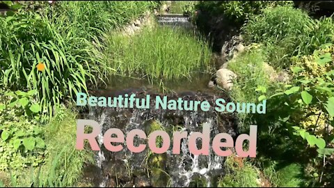 Amazing Nature sound recorded, birdsong and waterfall