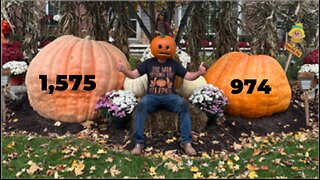 Why can’t I grow over 1300 lbs Giant Pumpkin Part 1