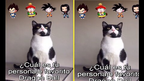 ¿Cuál es tu personaje favorito Dragon Ball