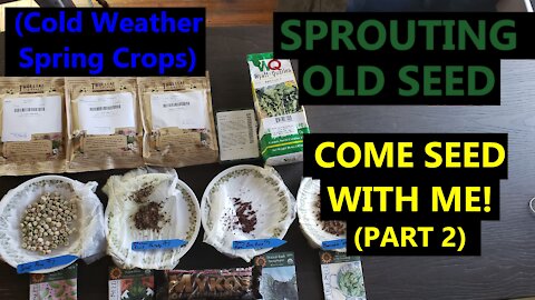 Come Seed With Me (Part 2!) | Cold Weather Spring Seeding | Hedging Bets by Soaking Old Seeds