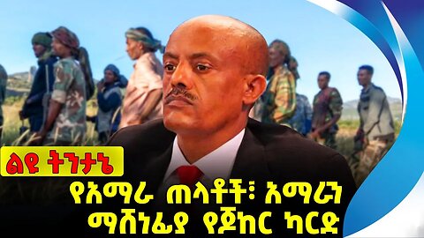 የአማራ ጠላቶች፣ አማራን ማሸነፊያ የጆከር ካርድ Amhara | Fano | Beaden | OPDO | Abiy Ahmed | Arega Kebede Nov-15-2023