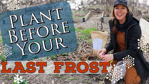 What, How & Why to Plant Before Your Last Spring Frost