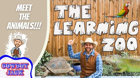 The Learning Zoo - Learn All About Animals!