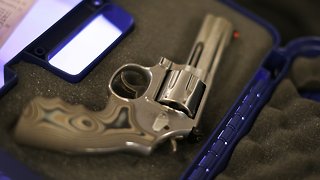 New York Lawmakers Pass Major Gun Control Package