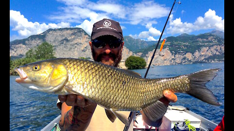 THE GARDA'S LAKE GIANT CHUBS🐋 🐋 🐋SPINNING FROM THE BOAT