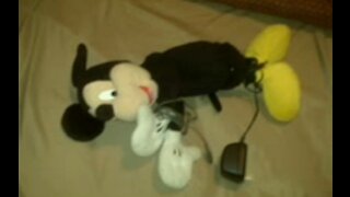 Why did you tie up Mickey Mouse