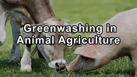 Dismantling the Greenwashing in Animal Agriculture - Hope Bohanec