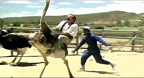 Funny men riding ostrich 😁😁😀😄