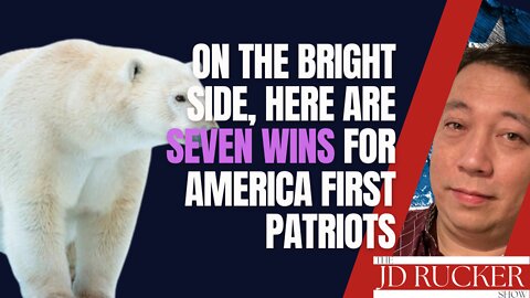 On the Bright Side, Here are Seven Wins for America First Patriots