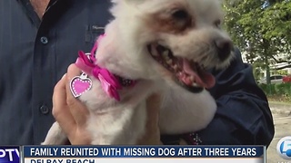 Family reunited with missing dog after three years