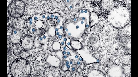 Weather and the coronavirus: Understanding the cycles