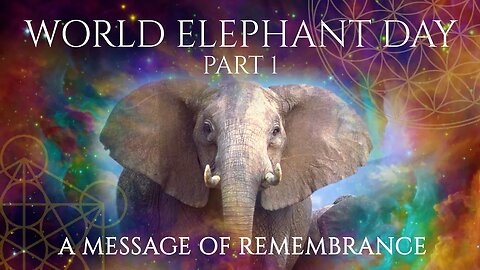 World Elephant Day 2023 - The Greatest Message to Remember Part.1