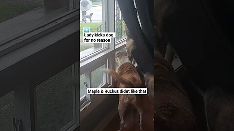 Lady Kicks Dog Outside My House