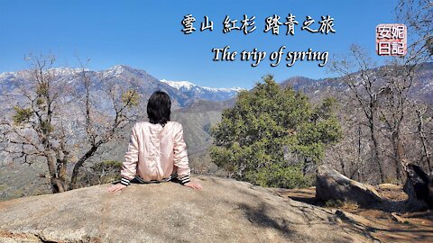 (051)雪山 紅杉 踏青之旅 The trip of spring【安妮日記】