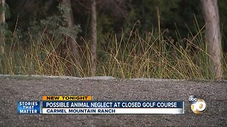 possible animal neglect at closed golf course