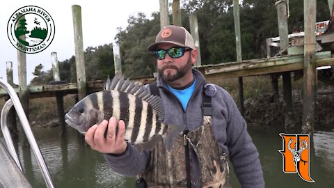 Season 3, Ep. 1: Sheepshead | Altamaha River Sportsman