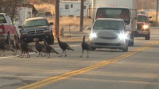 Tires are key to driving safely this Thanksgiving Holiday weekend