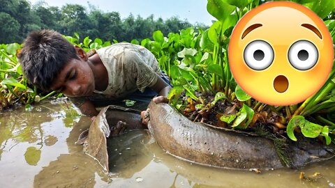 Amazing Hand Fishing Video | Amazing Boy Catching Big Catfish By Removes Water Hyacinth From River