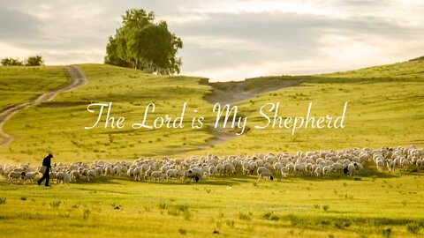 Psalm 23—The Lord is My Shepherd