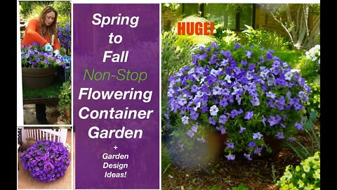 Spring to Summer Non-Stop Flowering Container Garden +🍃Garden Design Ideas! Shirley Bovshow